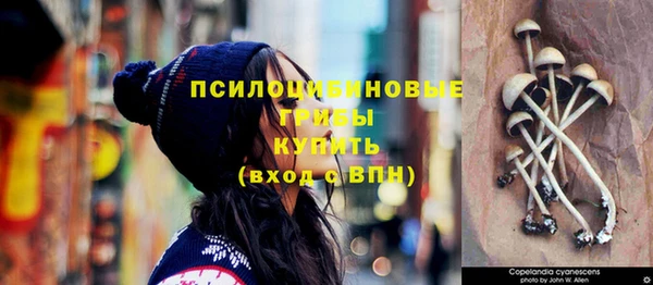 МДПВ Кодинск