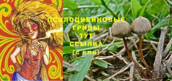 тгк Козловка
